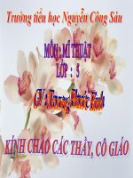 Vẽ :Khối hộp và khối cầu