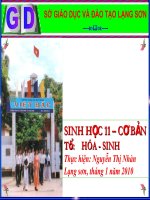 BÀI 31 : TẬP TÍNH Ở ĐV