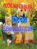 KPKH: NHỮNG CON VẬT NGHỘ NGHĨNH