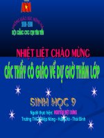 bài 13: di truyền liên kết