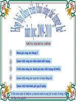 Họp hội đồng triển khai công tác hè năm 2010