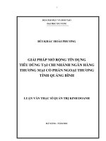 Giải pháp mở rộng tín dụng tiêu dùng tại chi nhánh ngân hàng thương mại cổ phần ngoại thương tỉnh quảng bình