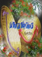 Lá Thư gửi thầy