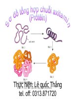 Sơ đồ tổng hợp Prote6in