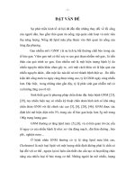 Nghiên cứu bilan lipid ở bệnh nhân gan nhiễm mỡ phát hiện qua siêu âm