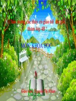 KHOAHOC4- ôn tập vật chất và năng lượng