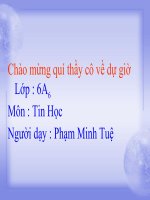 TRINH BAY VAN BAN VA IN