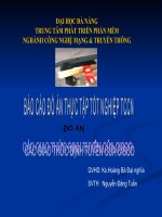 cac giao thuc dinh tuyen cua cisco