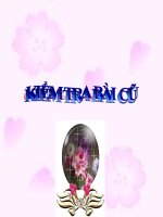 Sư Tử và Chuột nhắt