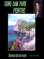 Danh họa Sung Sam Park