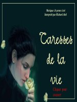 Nice Flowers 13 - Taresses de la vie