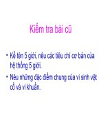 Bài 3: Giới khởi sinh, giới nguyên sinh và giới nấm