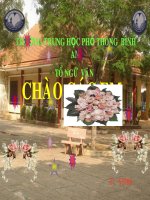 Bài Sóng-Xuân Quỳnh