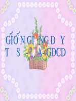 Bài 23 phong trào tây sơn va..