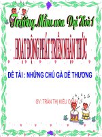 PTNT: QUÁ TRÌNH PHÁT TRIỂN CỦA GÀ