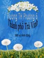 Khung hình và hinh động dùng để trang trí