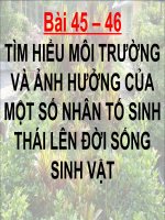 TH- Tim hieu moi truong va anh huong cua mot so nhan to sinh thai len doi song sinh vat
