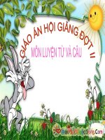 bài 26.LTVC:MRVT:Le hoi. Dau phay