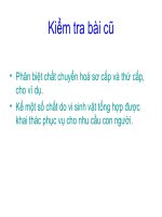 Bài 35: Phân giải các chất ở vi sinh vật