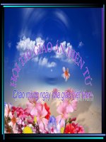 MỐI QUAN HỆ GIỮA GEN VÀ TÍNH TRẠNG