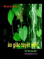 Ảo giác tuyệt vời