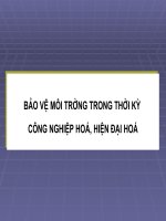 Bảo vệ môi trường trong thời kỳ CNH, HDH