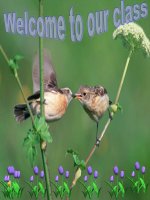 Tiếng Anh 4-Tuần 5