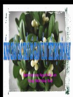 Tiết 109: Liên kết câu và liên kết đoạn văn (Ngữ văn 9)