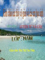 LTVC Từ đồng âm