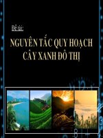 Quy hoạch đô thị