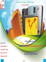 Chuyên đề: “Định tuyến trong mạng WSN“