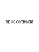 THE US GOVERNMENT