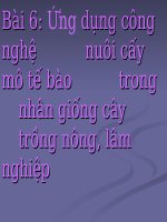 Bài 6: Ứng dụng công nghệ nuôi cấy mô tế bào trong nhân giống cây trồng nông, lâm nghiệp