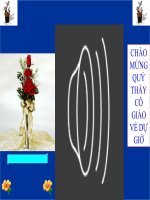 bai 30. Ve sinh tieu hoa