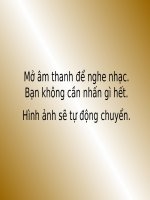 Bai hoc tu loai chim