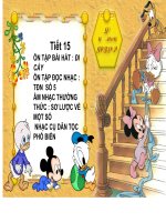 Khung hình chèn vào GA điện tử