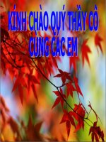 Da dang va dac diem cua bo sat