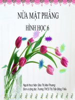 Toan 6 NUA_MAT_PHANG_-ppt.ppt