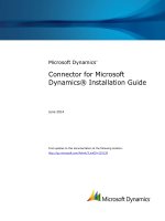 Connector for Microsoft Dynamics: Installation Guide