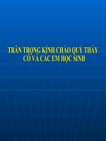 TỪ MỐI QUAN HỆ GEN - ADN