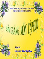 Tập đọc: Cây xoài của ông em