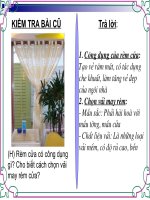 Trang trí Hoa và cây cảnh