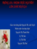 chương2:nước và đời sống thực vật