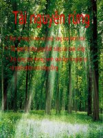 Rừng và đời sống con người