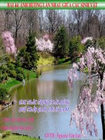 Sinh 9 - Bai 44 - Anh huong lan nhau giua cac sinh vat