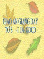 Bài 8. sự hình thành và phát triển...