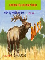 Bài 55: Thú ( tt )