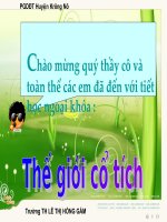 Ngoại Khóa - Truyện cổ tích