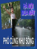 HÀ NỘI MÙA NÀY PHỐ CŨNG NHƯ SÔNG