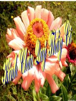 Dây thần kinh tủy